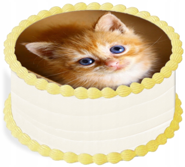 oplatek na dort 29 cm Zvířata Kočka Narozeniny