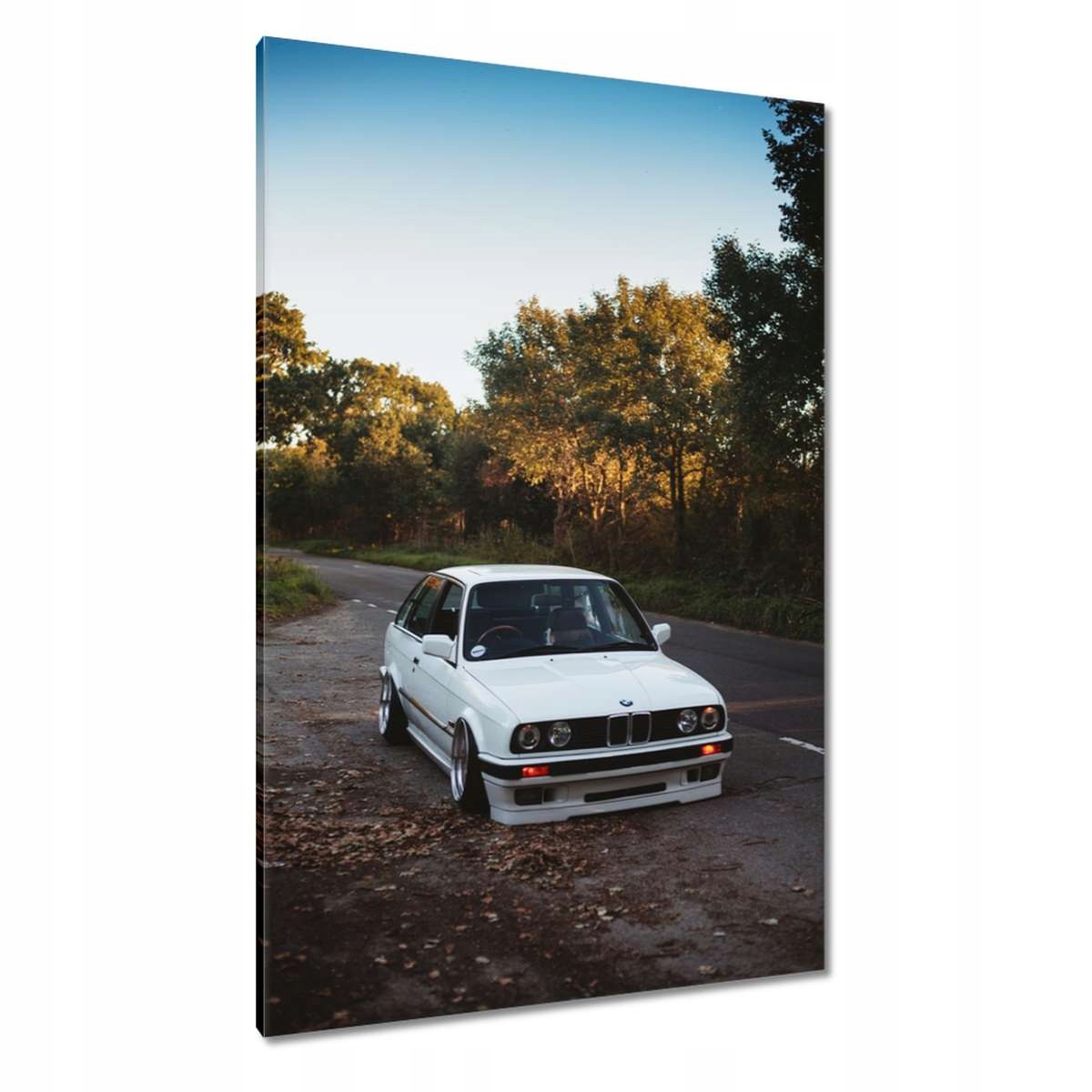 Obrazy 80x120 Bmw 3