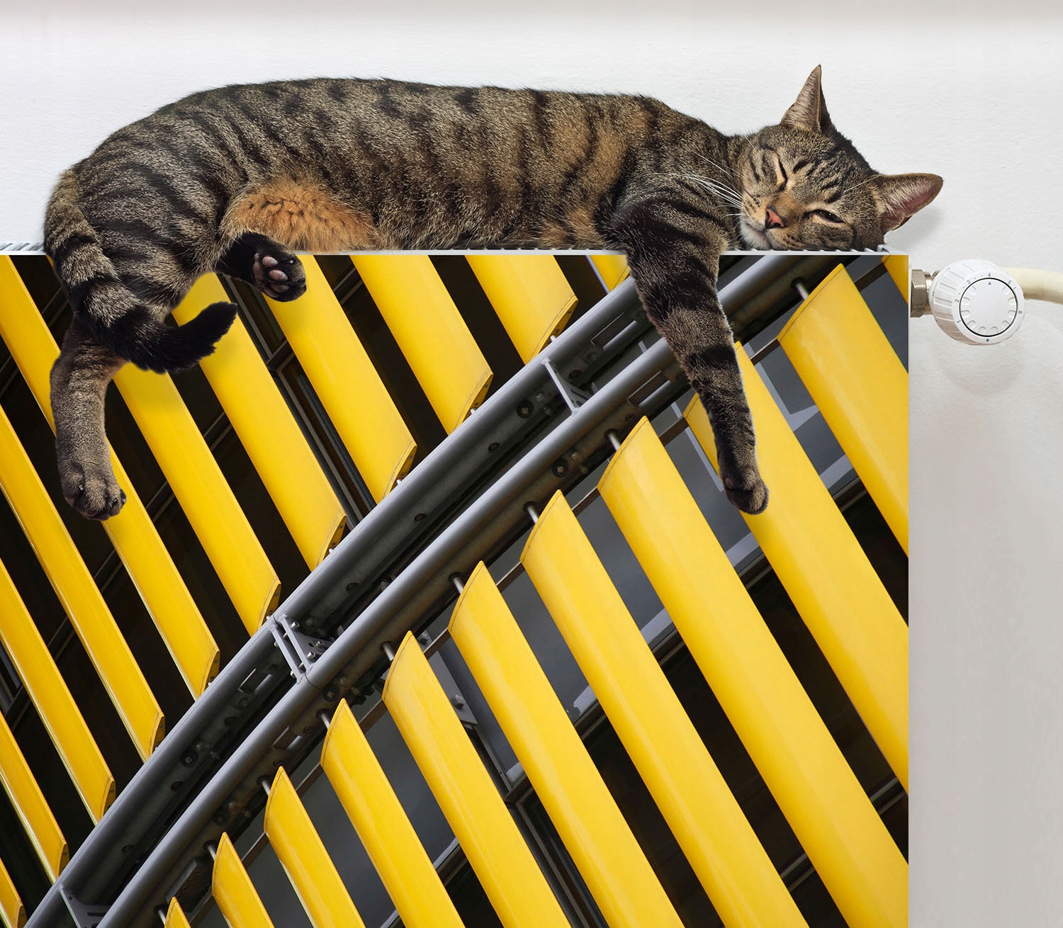 MAGNES NA KALORYFER GRZEJNIK 80x60 WZÓR FOTOTAPETA Rodzaj produkt gotowy