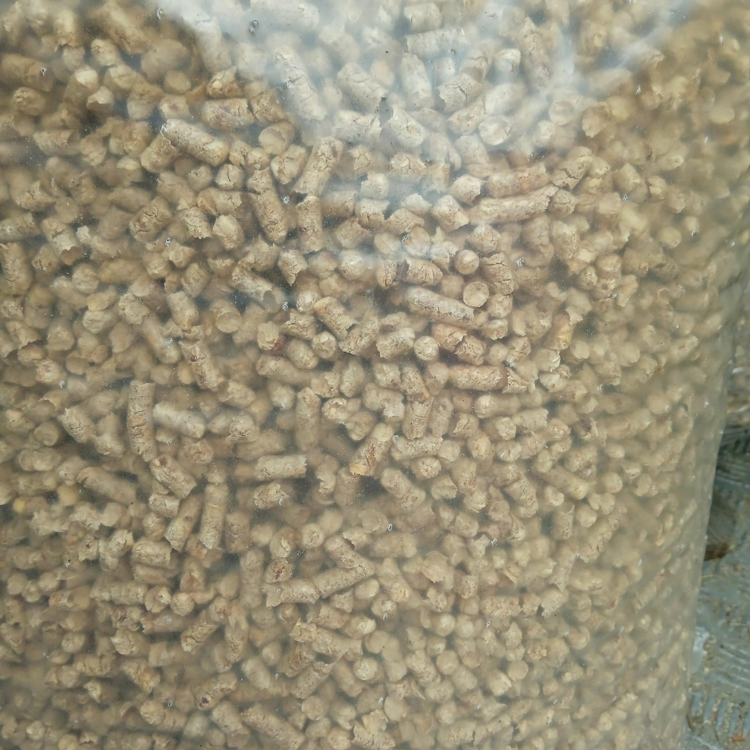 Pellet sosnowy czysty EN A1 premium czysty twardy 15kg Kod producenta rwt75457547