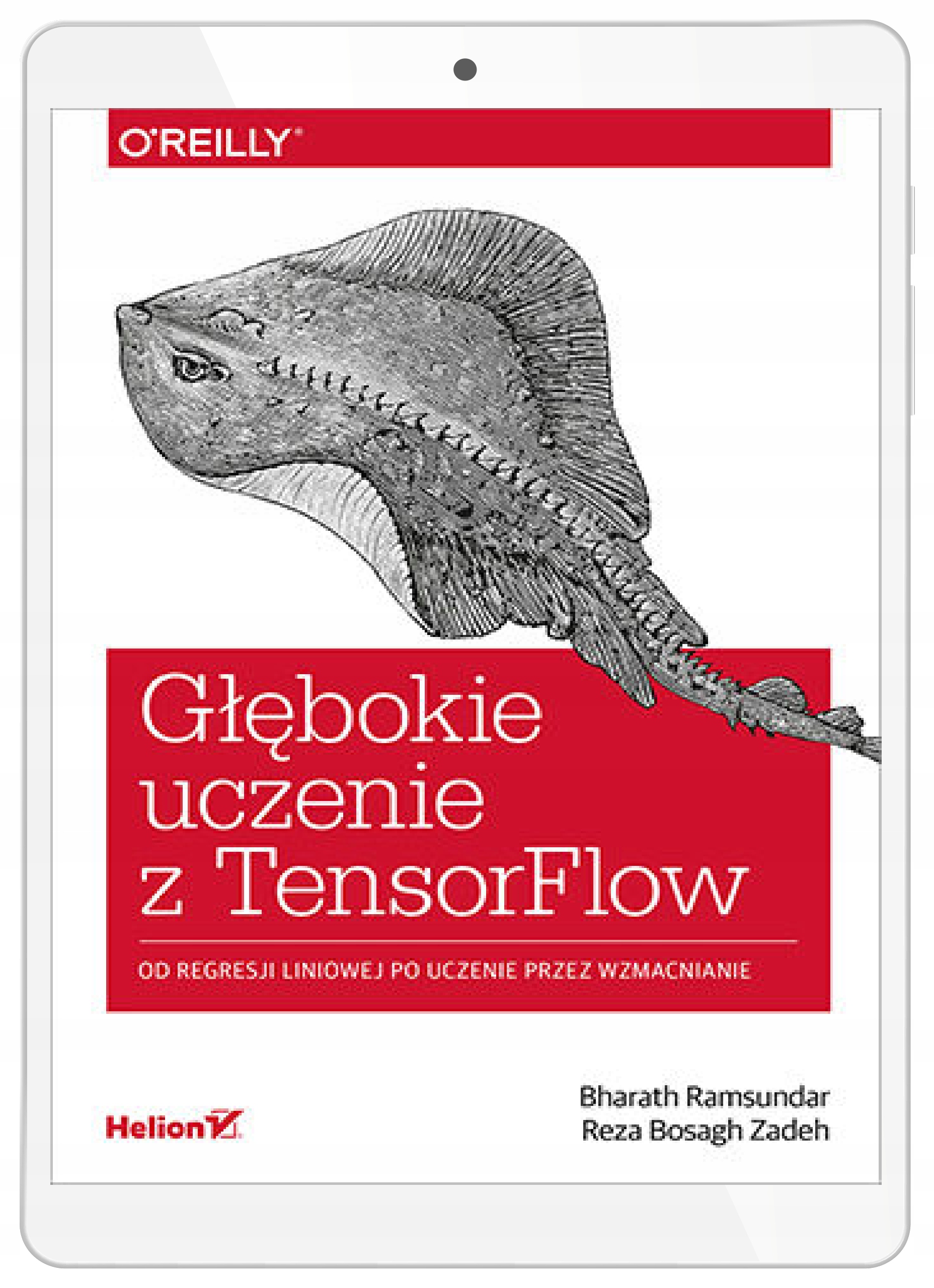 Głębokie uczenie z TensorFlow. Od regresji