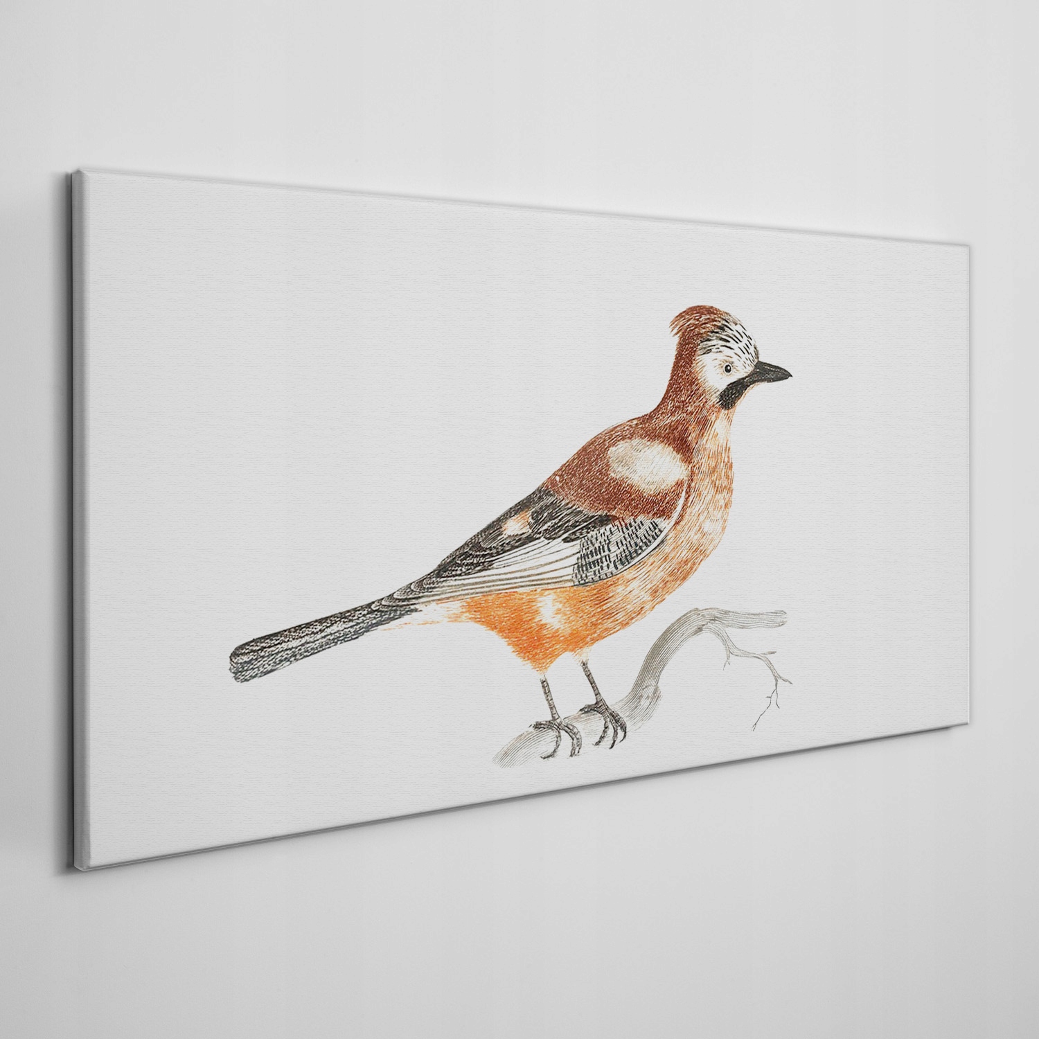 

Obraz na ramie płótno Zwierzę ptak gałąź 120x60 cm