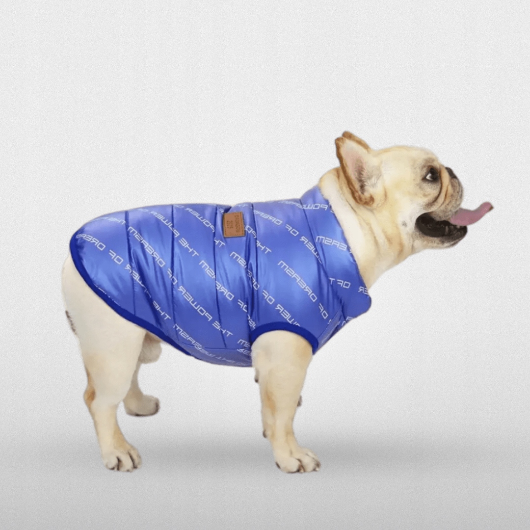 Zimní Bunda Pro Psa Buldočka Mopsa Modrá Hello Moon modrá S