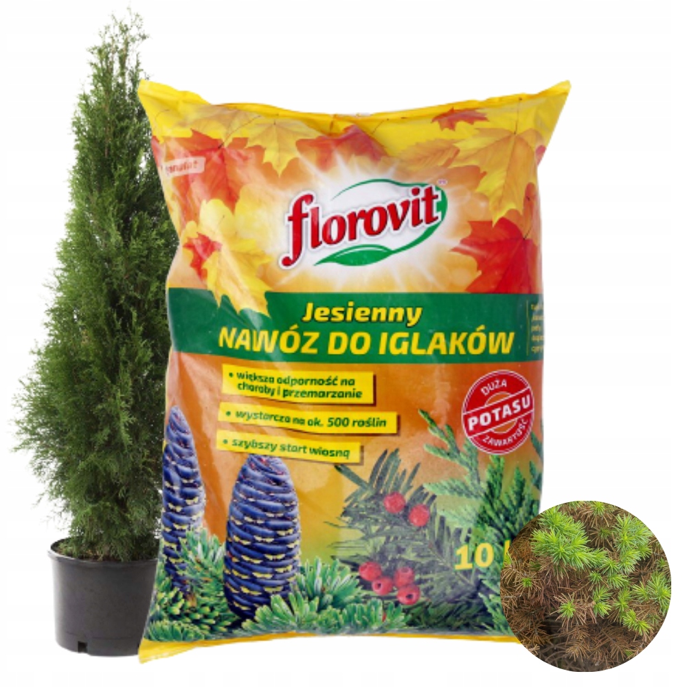 

Florovit Jesienny Nawóz Do Iglaków 10KG 500 Roślin