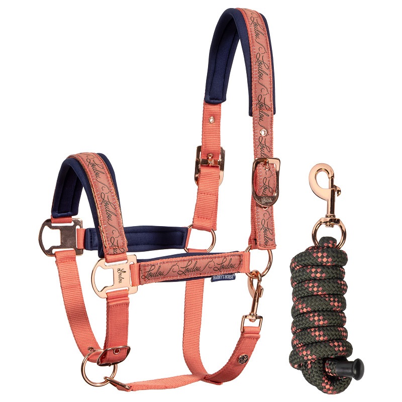 Uzda pro koně Harry's Horse LouLoul 26AW, podšitý s Cob vázáním
