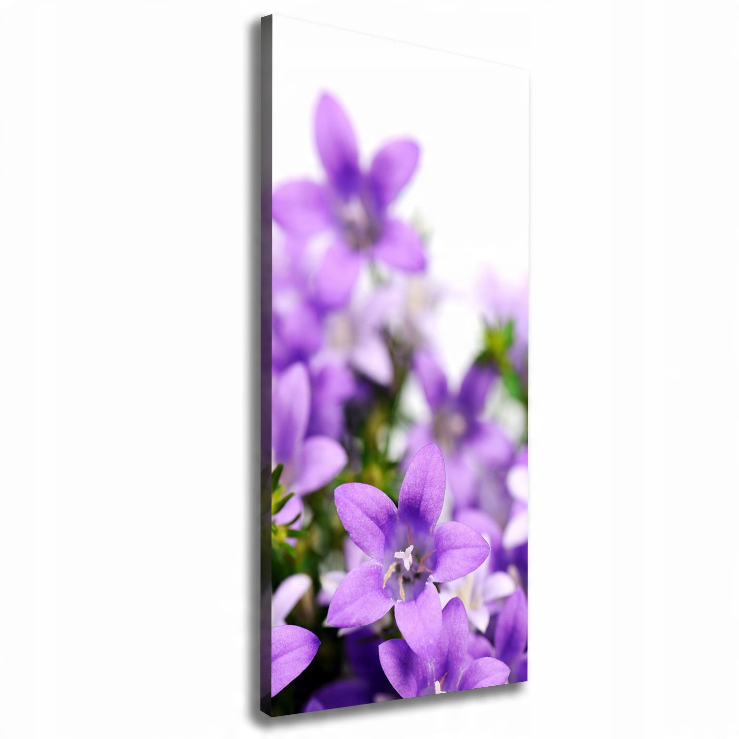 

Foto obraz na płótnie Fioletowe dzwonki 50x125 cm