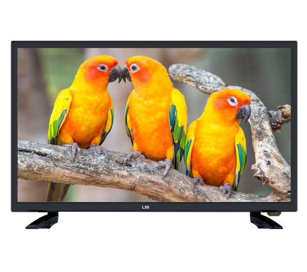 Telewizor Lin 24LHDD06 LED 24'' HD Ready DVB-T2 Czarny