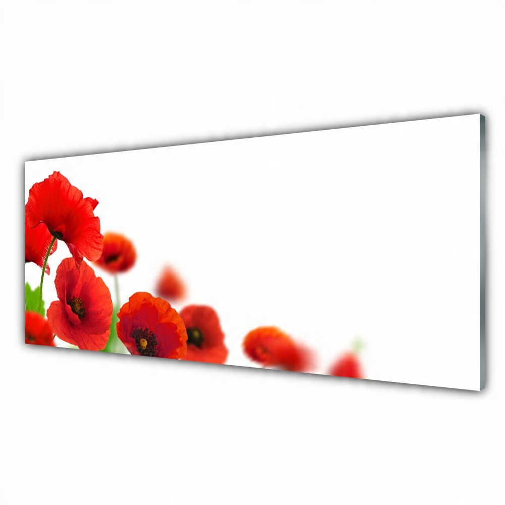 

Obraz akryl na ścianę 125x50 Czerwone Maki Natura