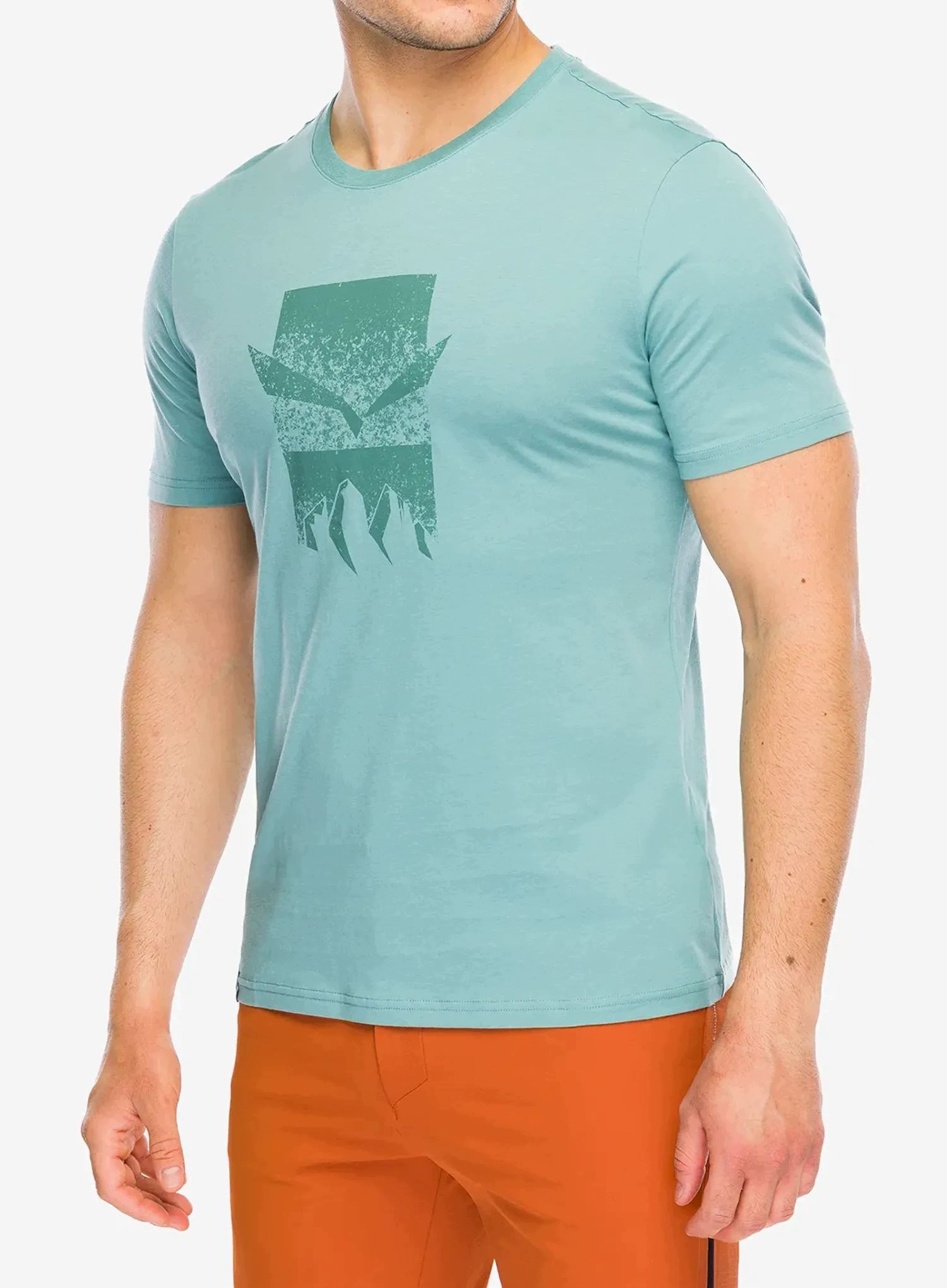 Bavlněné tričko Salewa Eagle 3Cime T-Shirt willow S