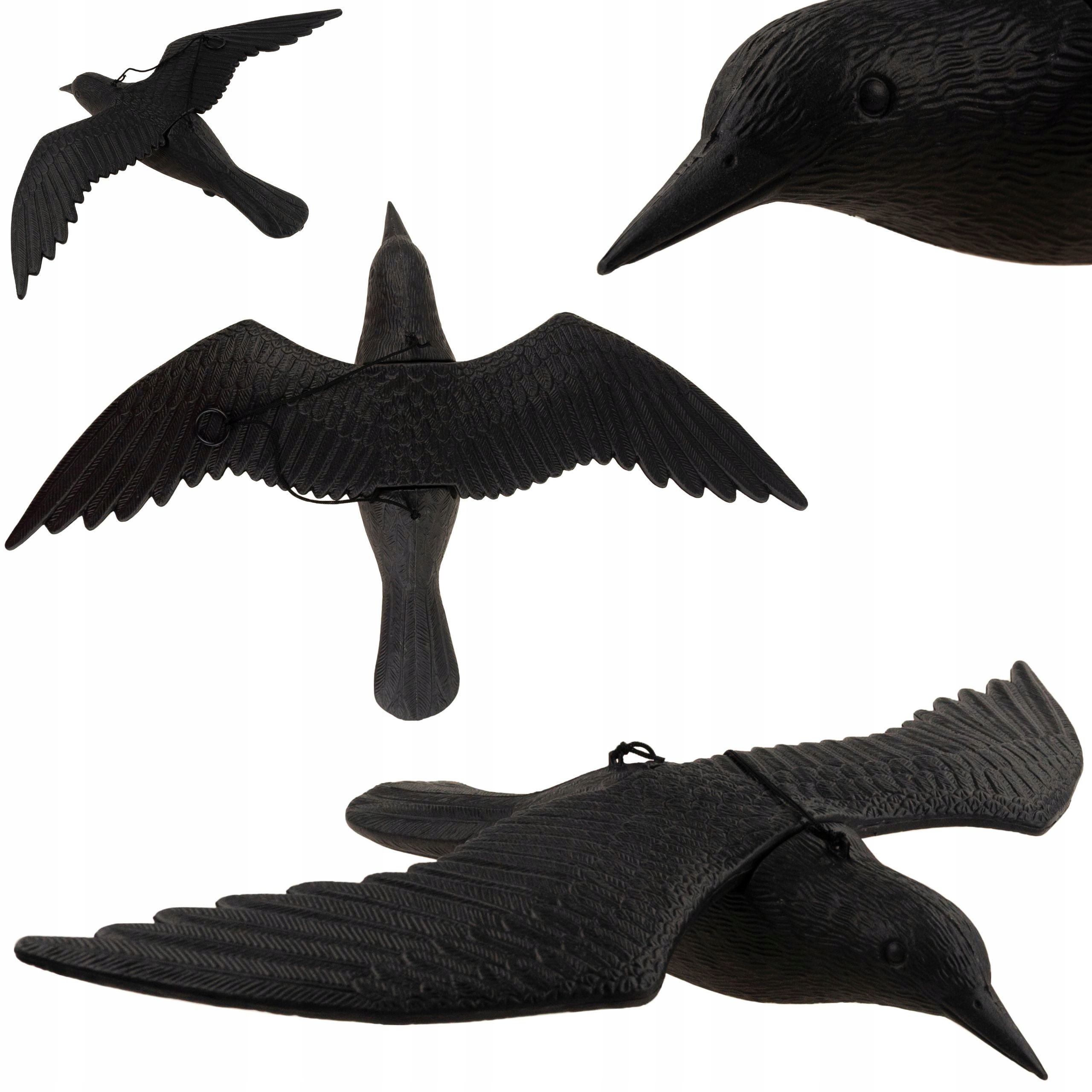 

Kruk Odstraszacz Ptaków W Locie Wiszący Duży Balko