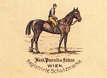 Gra karciana PIATNIK PRESIDENT 2 talie Wydawca Piatnik