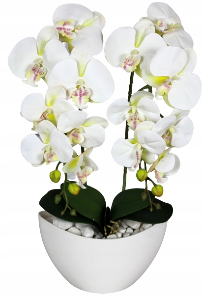 

Storczyk Sztuczny Storczyki Orchidea Kwiat Kwiaty