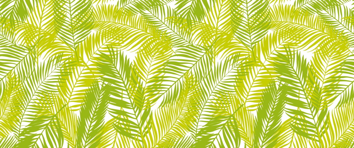 

Fototapeta Flizelinowa Liście palmowe 250x104