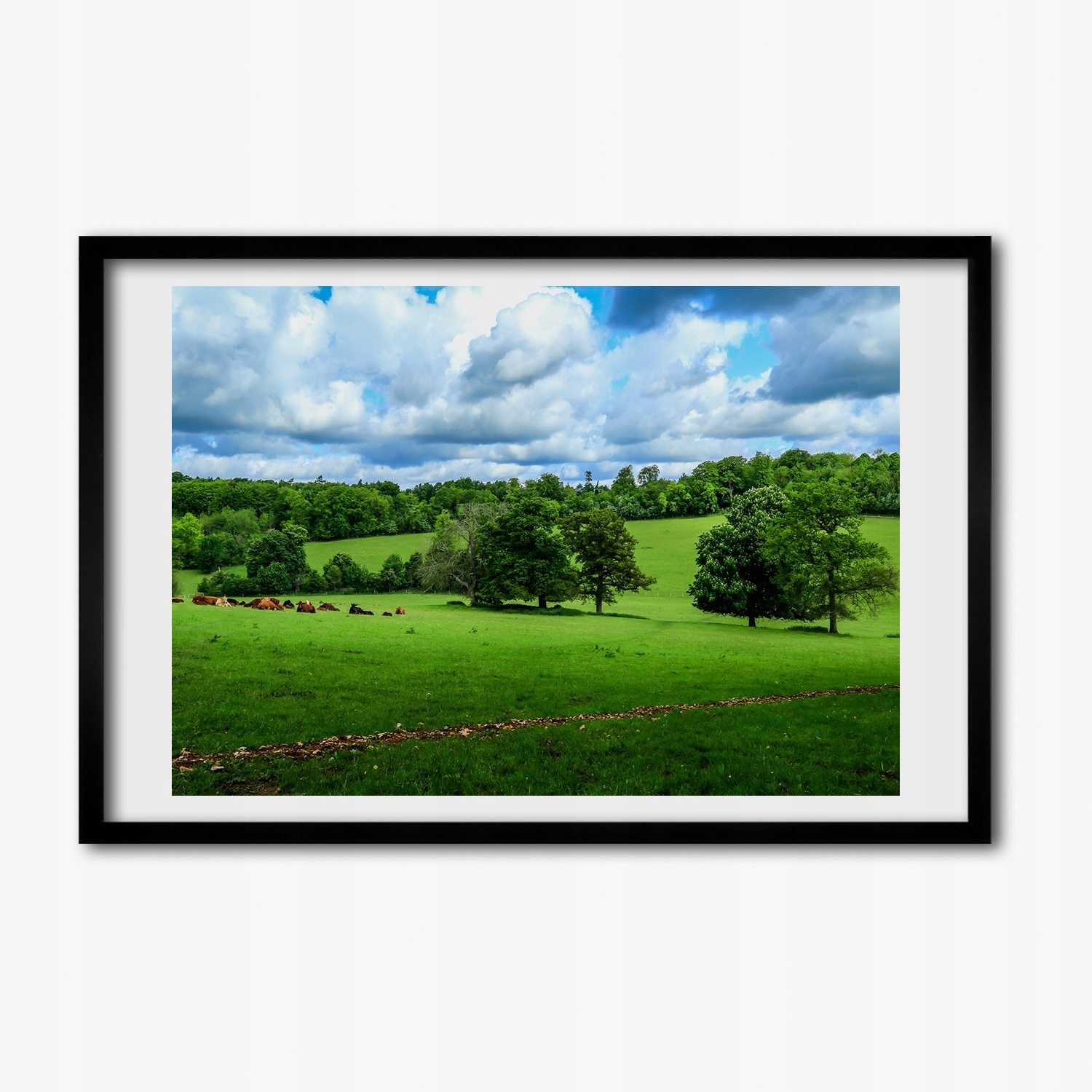 Foto obraz rámeček do obývacího pokoje Zelené kopce 60x40