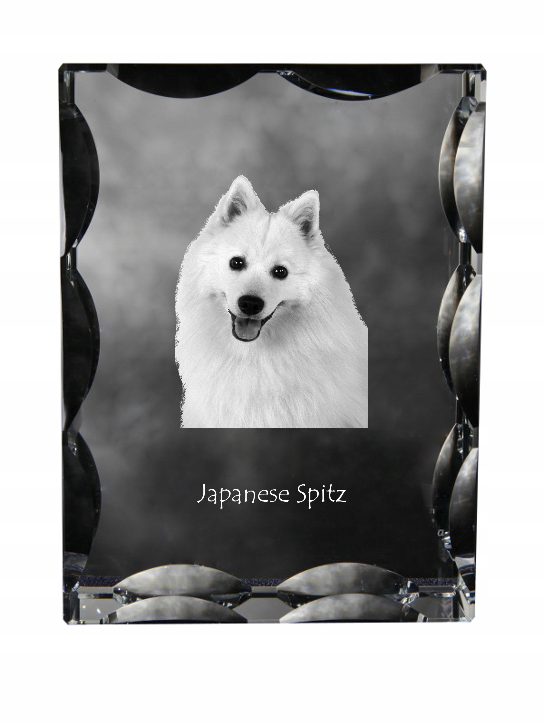 Japonský špic fotografia psa v ozdobnom kryštáli, suvenír, dekorácia domu