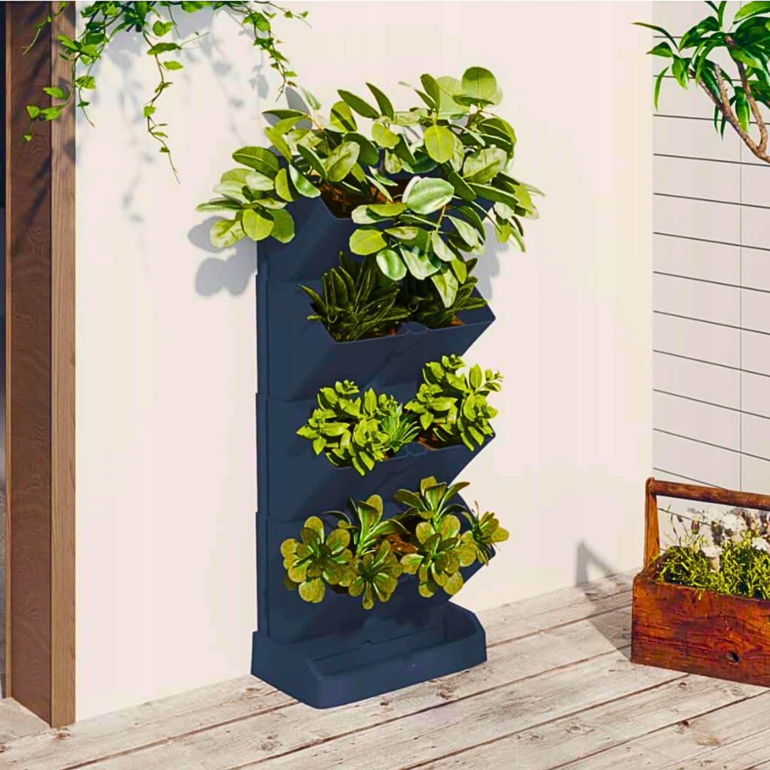 OGRÓD WERTYKALNY 2xDONICZKA KASKADA MODUŁOWA ZIOŁA Długość (cm) 11.5