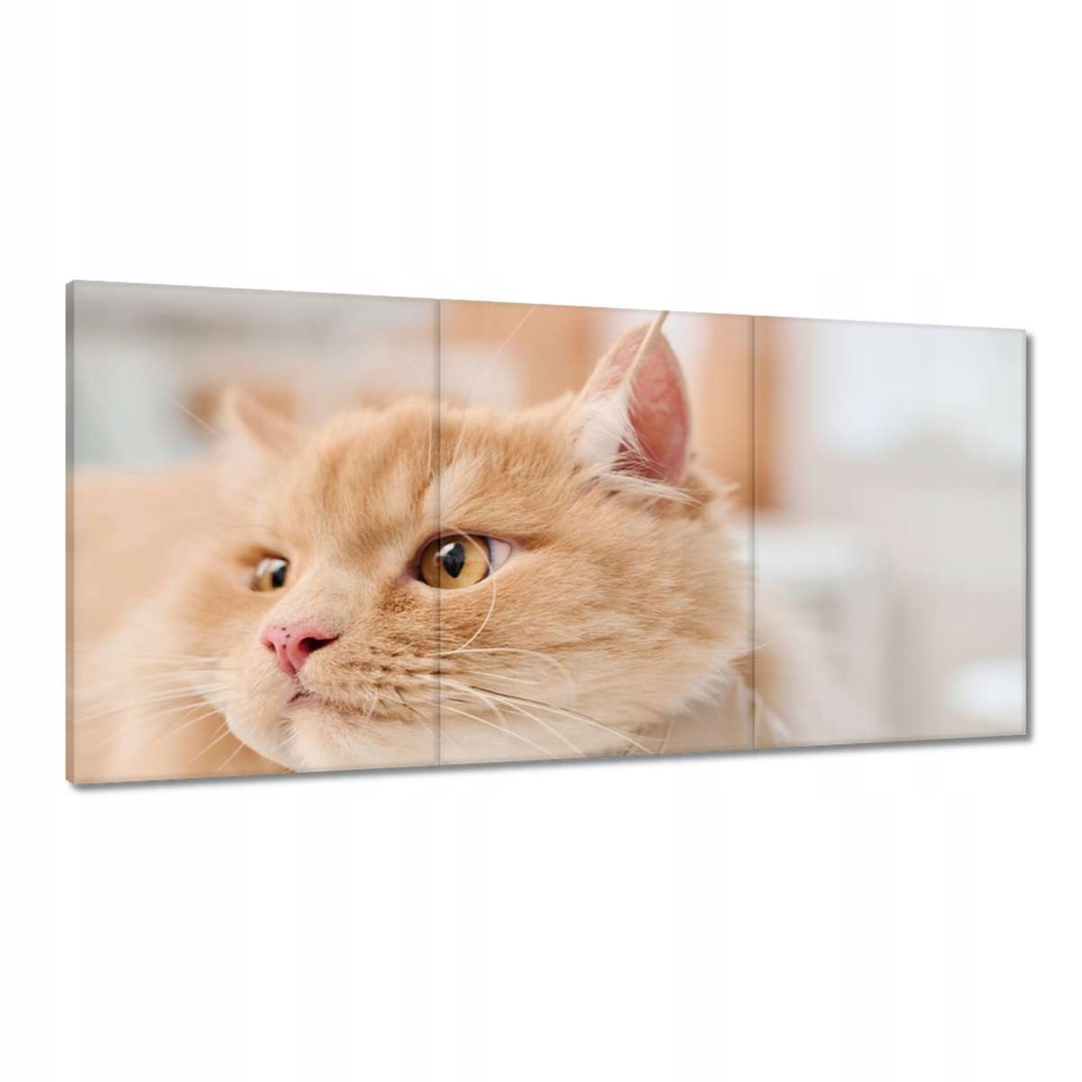 Obrazy 180x90 Lekár čistí uši mačky