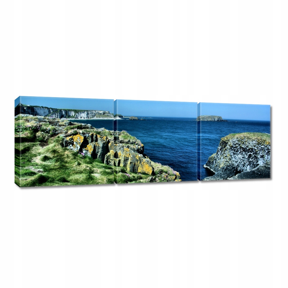 

Obrazy 60x20 Carrick A Rede