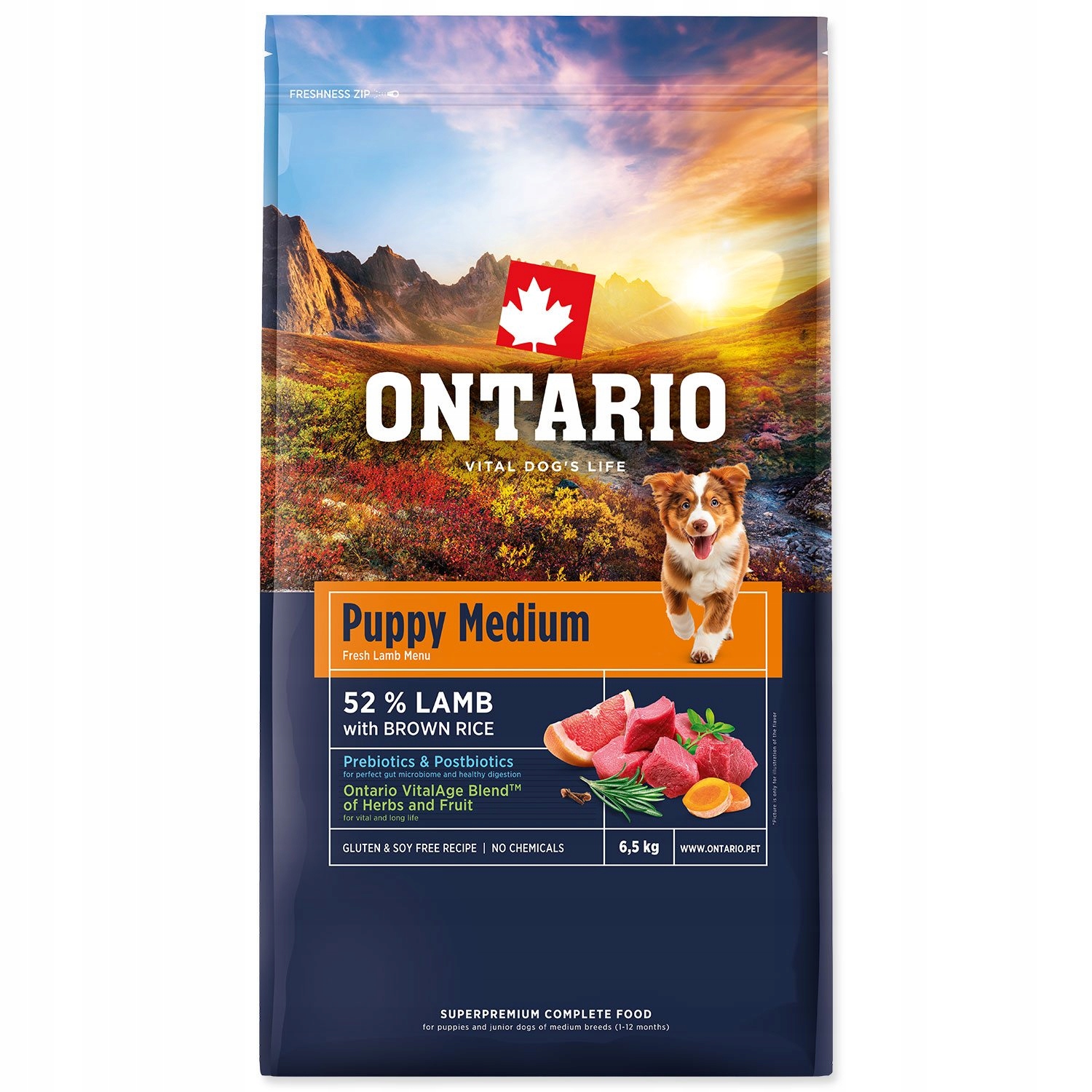 Ontario Puppy Medium Lamb & Brown Rice 6,5kg Karma dla szczeniąt średnich r