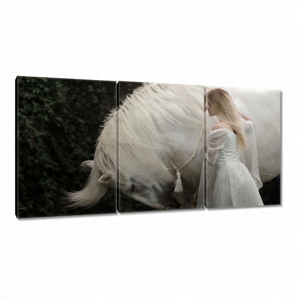 

Obrazy 120x60 Koń Konie Jeździectwo