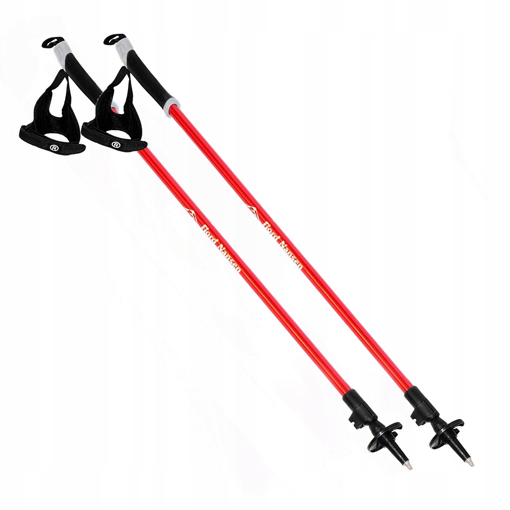 Kije do Nordic Walking Fjord Nansen Nordic Pro II red