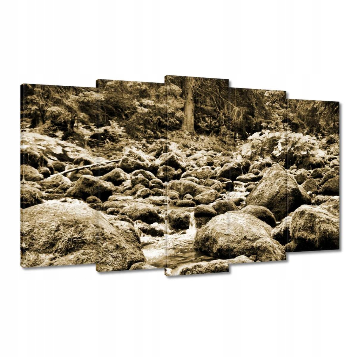 Obrazy 100x60 Tatry Polské hory Pohled