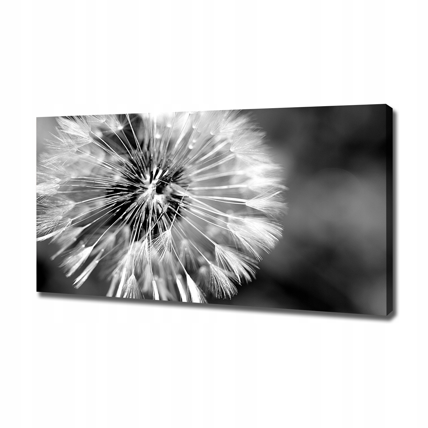 Fotoobraz na zeď canvas Dmychadlo 120x60 cm