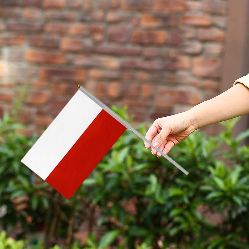 5 SZTUK FLAGA POLSKA POLSKI CHORĄGIEWKA MATERIAŁOWA V1 Szerokość produktu 21 cm