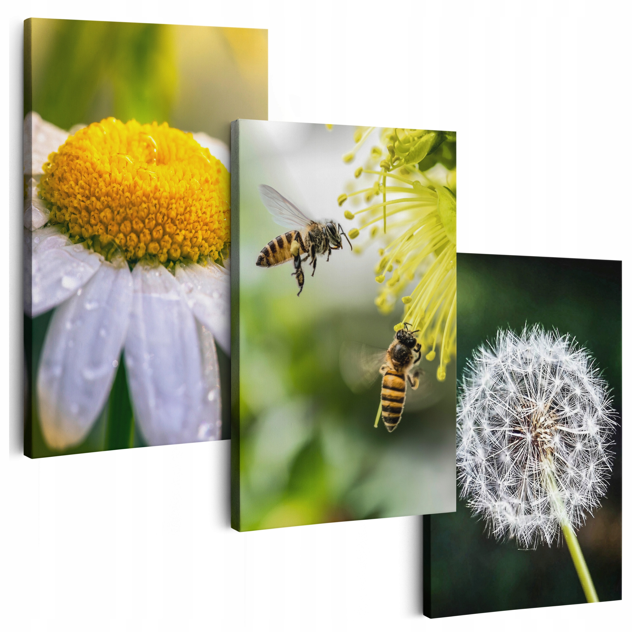 Obraz Na Plátne 180 cm **veľa vzorov** Obrazy Do Salónu Triptyki Kvety