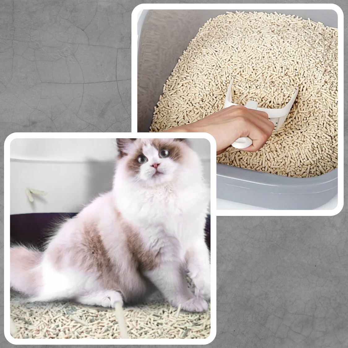 KUWETA DLA KOTA DUŻA SOLIDNA WYTRZYMAŁA ZAMKNIĘTA NA ŻWIREK FILTR ŁOPATKA Szerokość produktu 36 cm