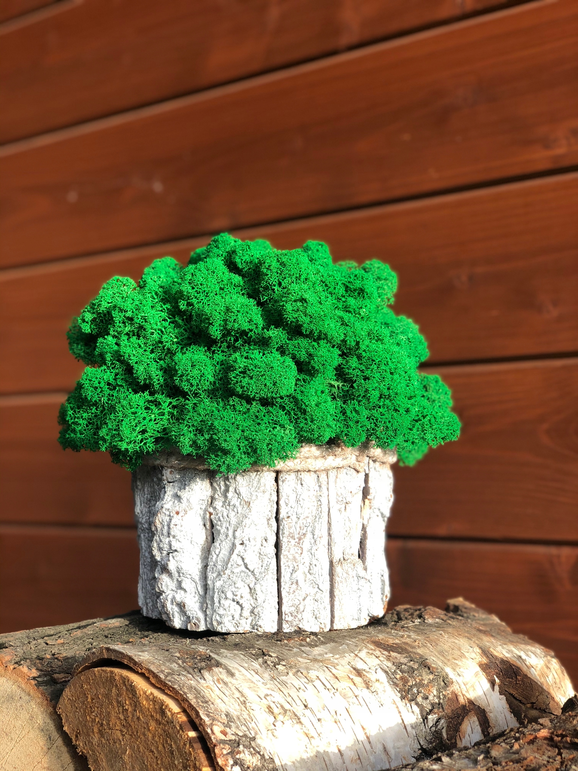 MECH CHROBOTEK STROIK OZDOBA MODA DEKORACJA DOM Marka inna