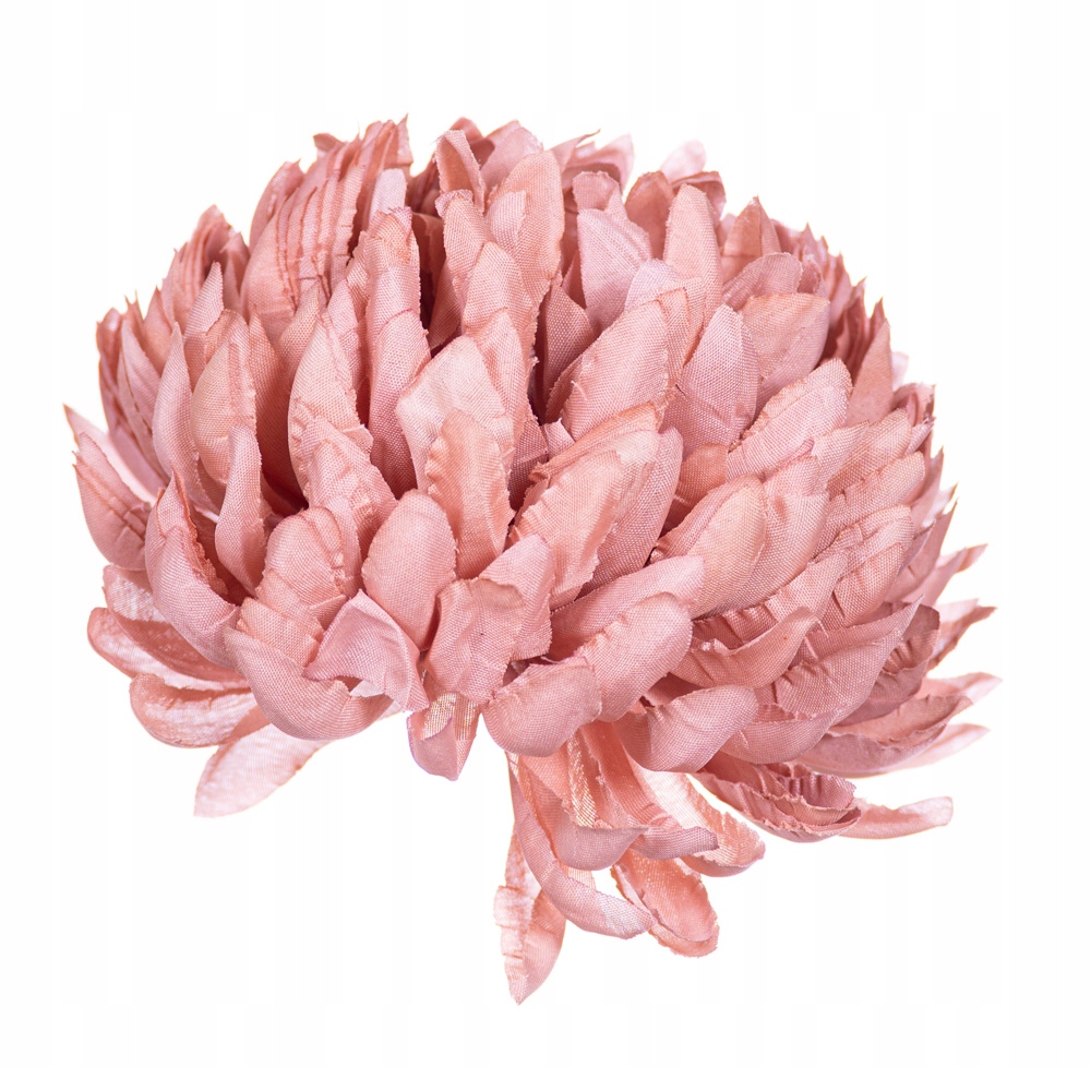 

Chryzantema ananas łososiowa wyrobowa