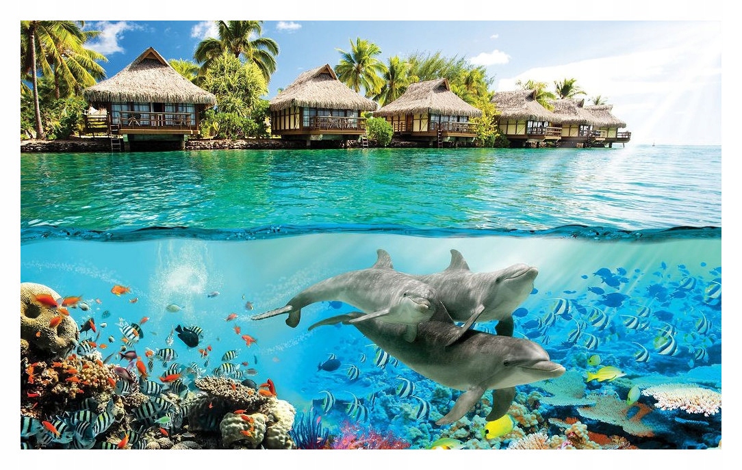 Fototapeta Delfíni korálový útes tropy vinylová 254x184 lepidlo