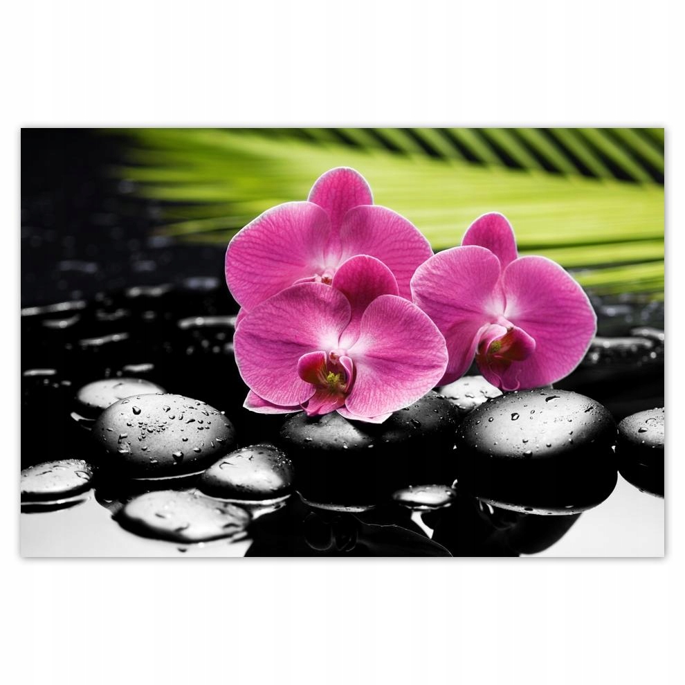 

Plakat 93x62 Spa Kamienie i oleandry