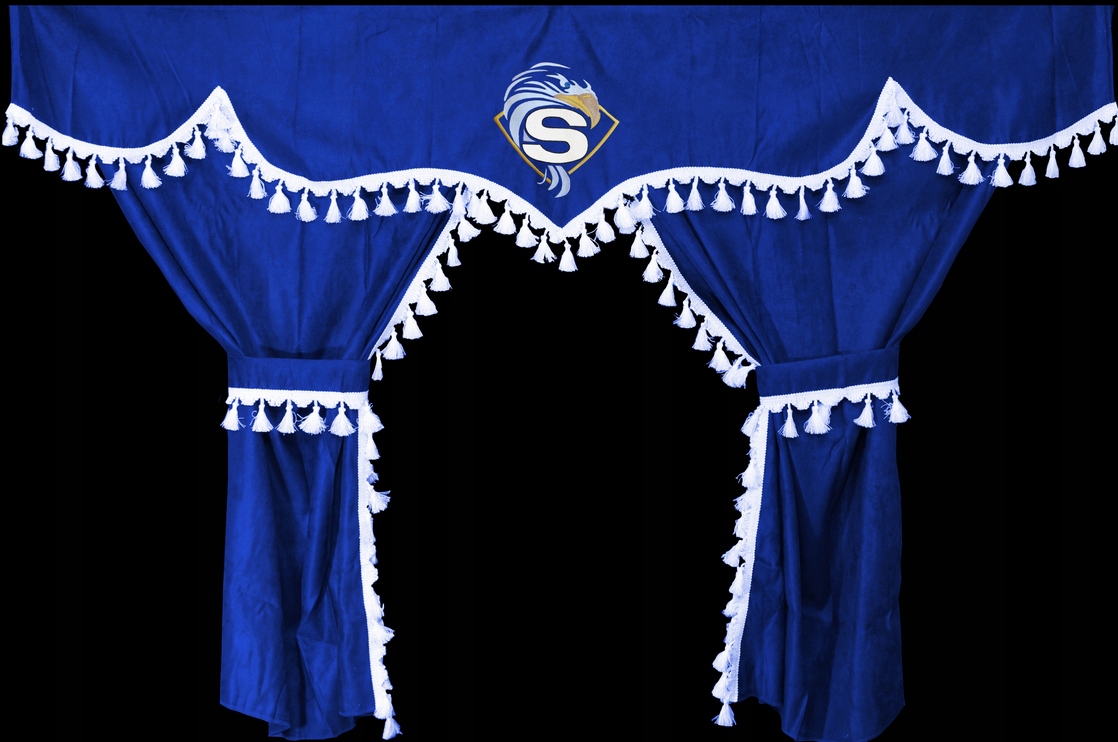 ZASŁONY SZYB FIRANY DO KABINY TIR SCANIA R KOMPLET