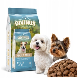 Divinus Mini 10kg karma dla psa małe rasy małe chrupki York Maltańczyk