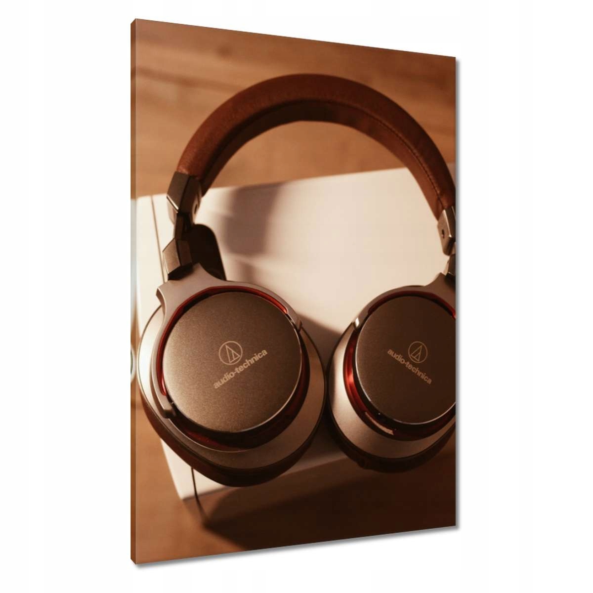 Obrazy 70x100 Hudba moje láska Vášeň