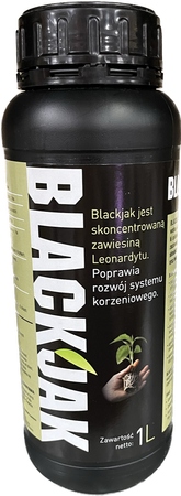 

Blackjak 1l