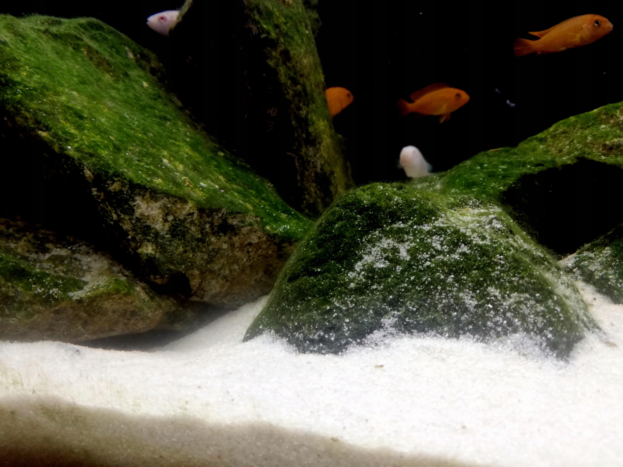 Substrát LIGHT SAND Quartz 0-0,5 Akvárium 25 kg Značka Gawlik