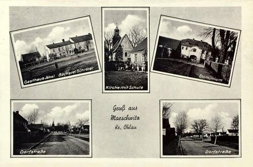 

Marszowice widokowa Reprodukcja 29720