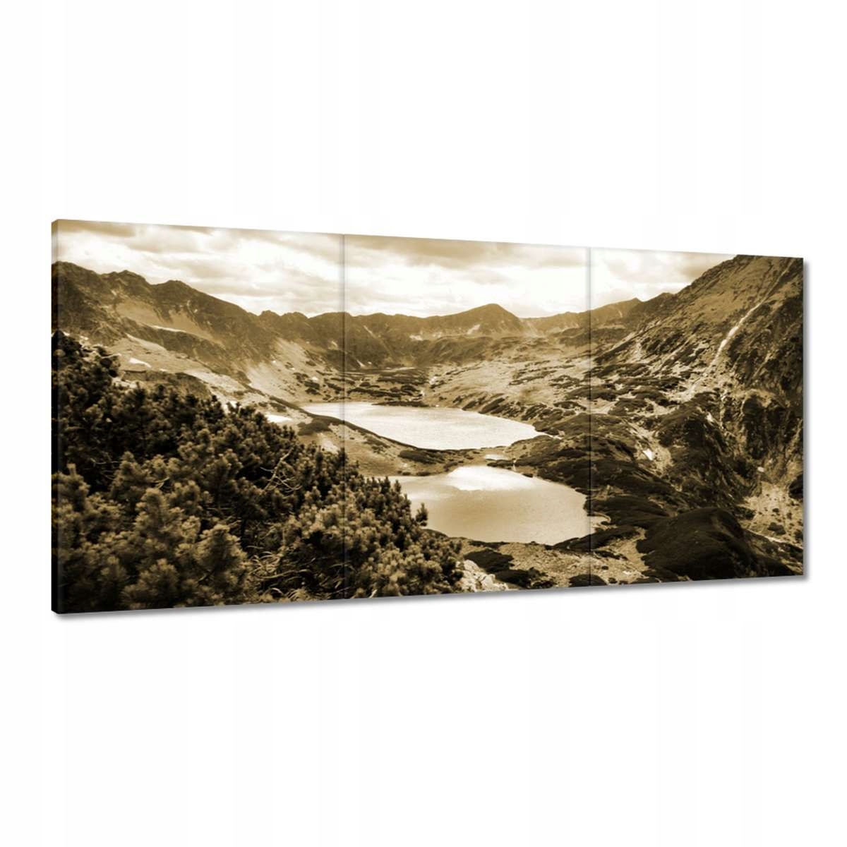 Obrazy 180x90 Tatry Poľské hory Pohľad