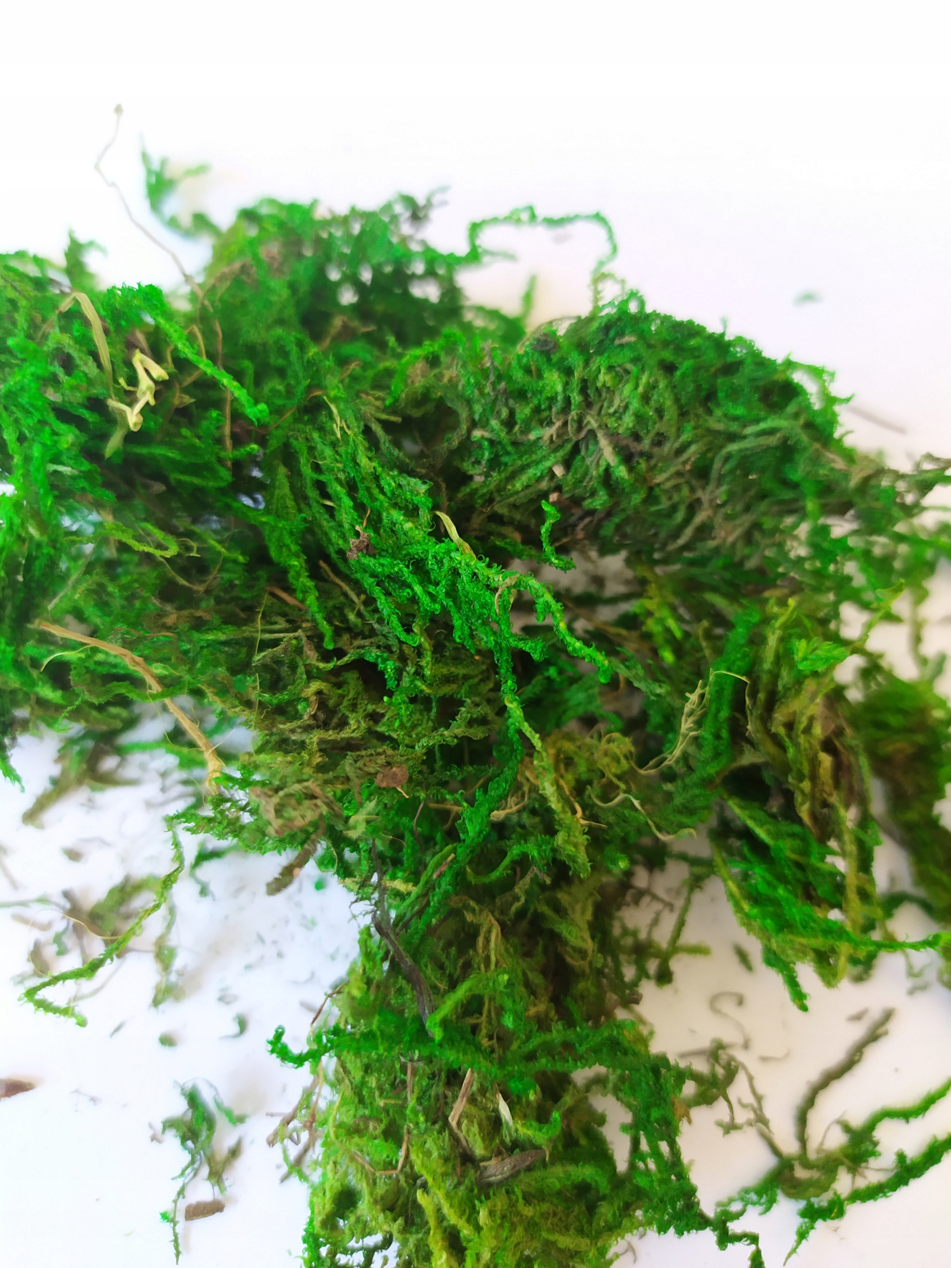 

Mech suszony ciemnozielony