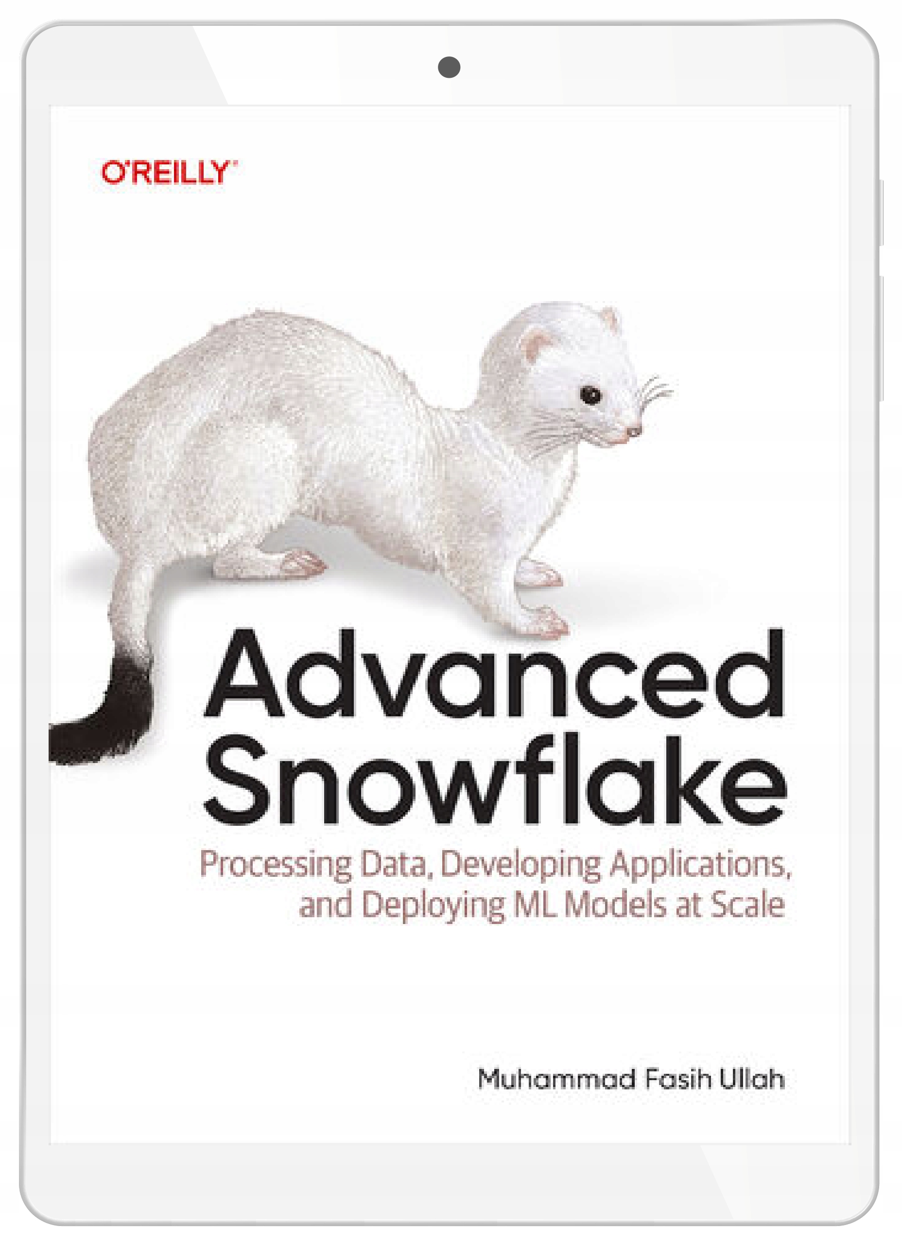 Advanced Snowflake Muhammad Fasih Ullah