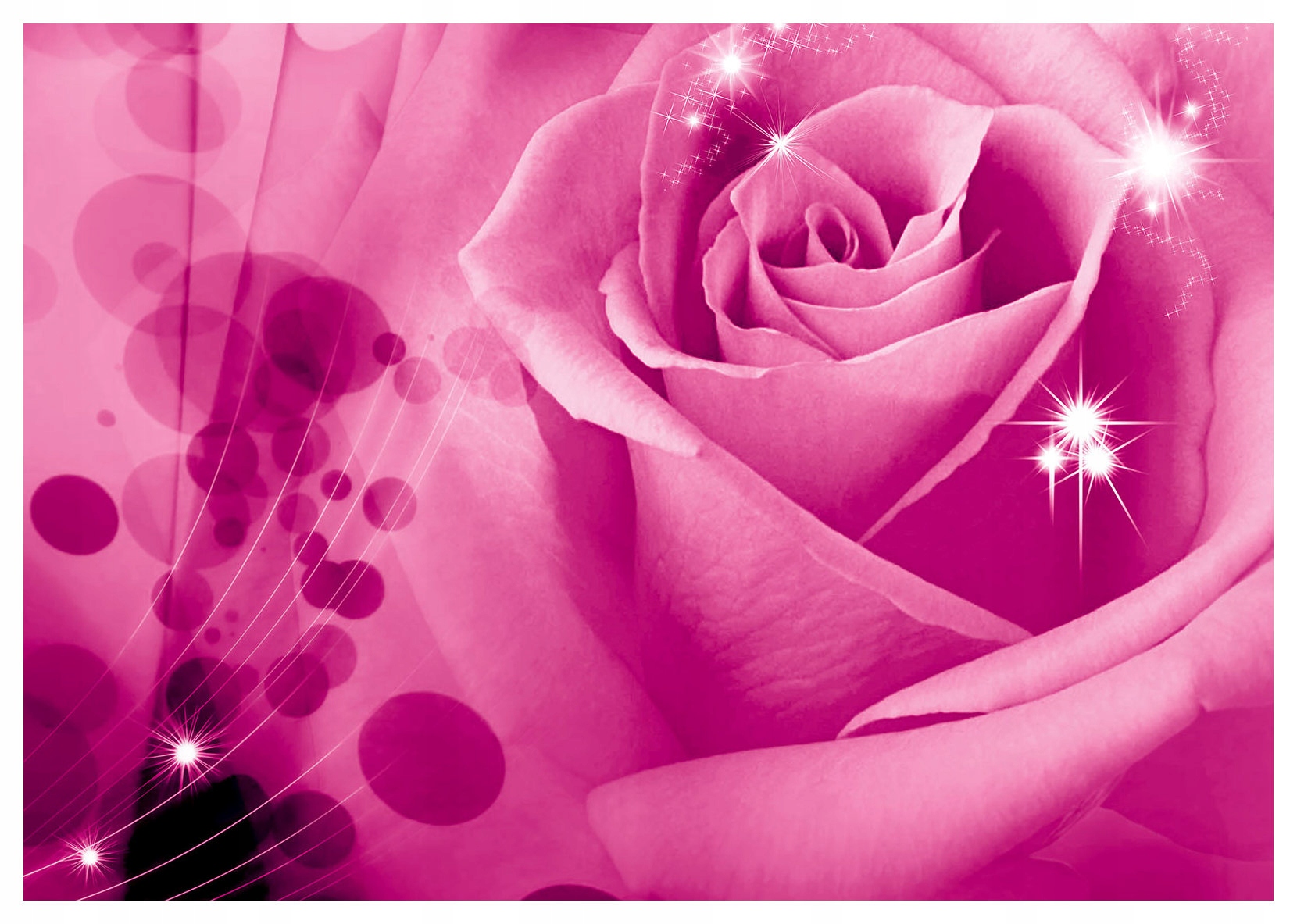 Fototapeta Růže Makro Elegance a romantika s bleskem 254x184 lepidlo