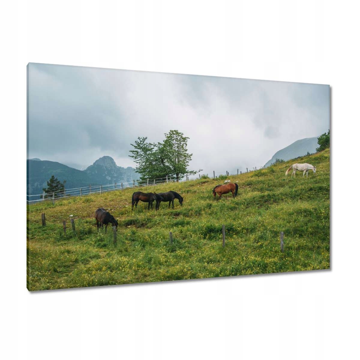 Obrazy 120x80 Krajina Pohledy KrajinaObrazy