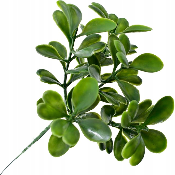 GAŁĄZKA BUKSZPAN GĘSTA BORÓWKA WIELKANOC PIK 20 CM