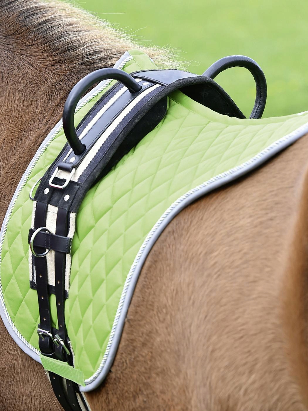 165cm -235cm PAS SZKOLENIOWY DO HIPOTERAPII BUSSE EAN (GTIN) 4026107428048