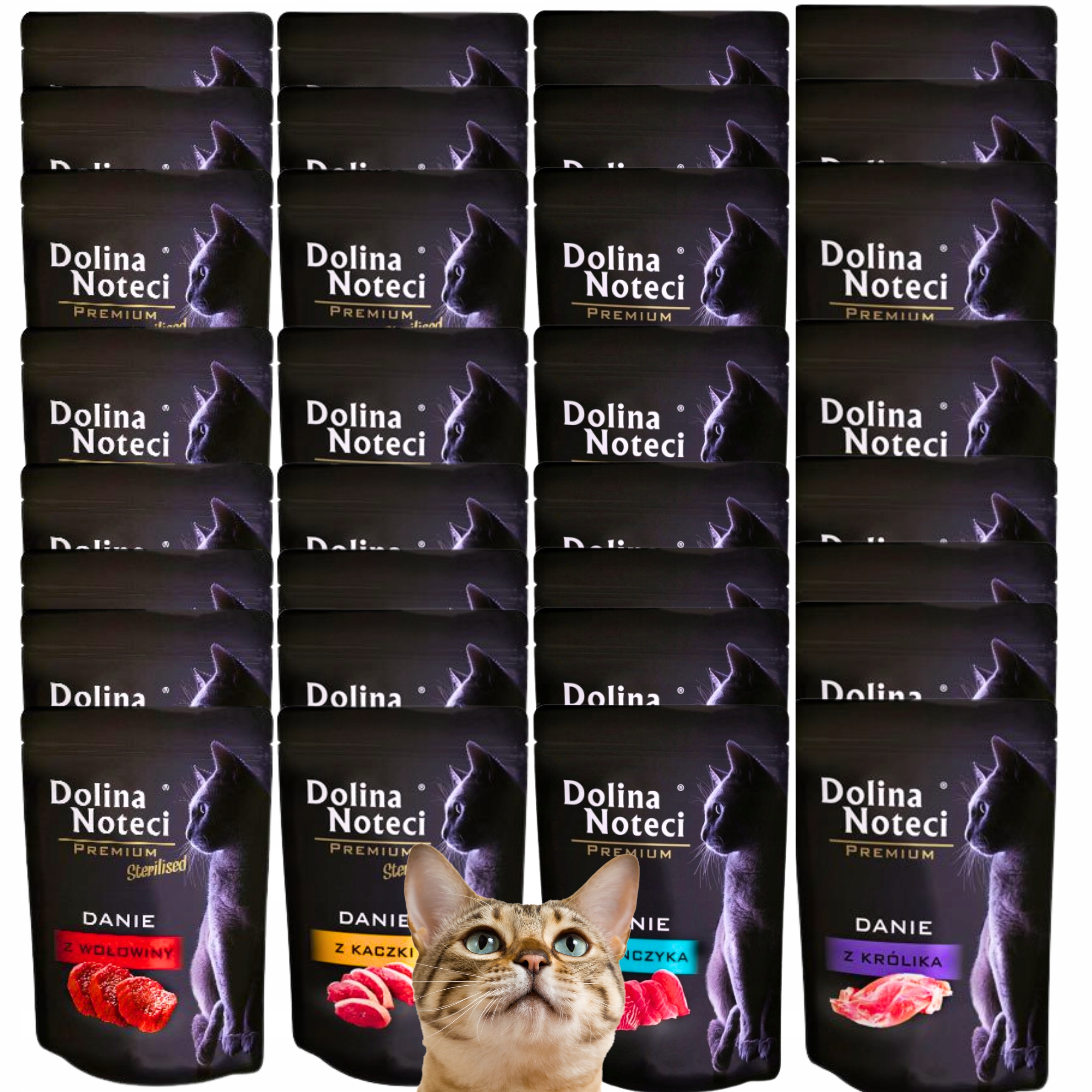 Levně Krmivo Mokré Pro Kočky Dolina Noteci Jídlo Kočka MIX 4 Příchutí 40 X 85 G