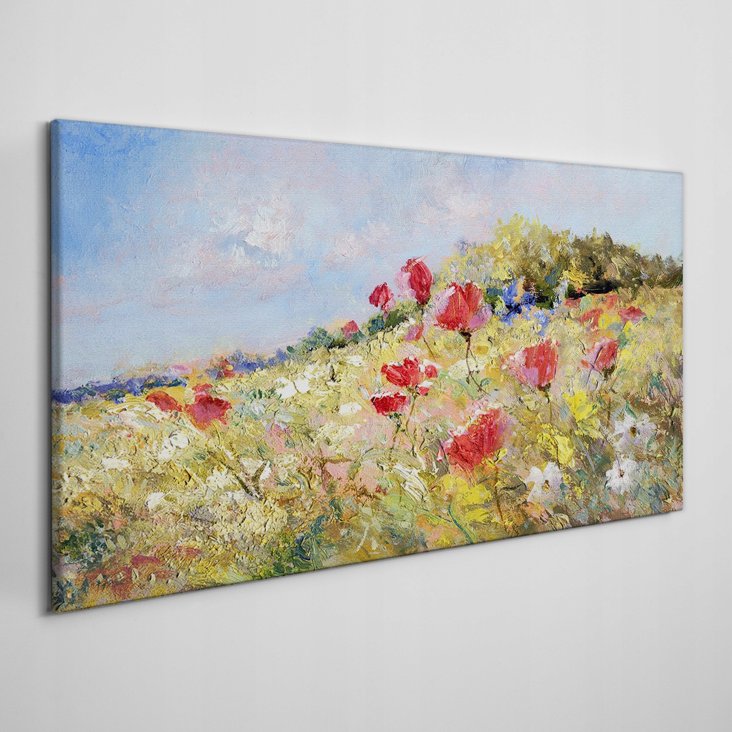 

Obraz na płótnie do salonu Kwiaty krajobraz 120x60