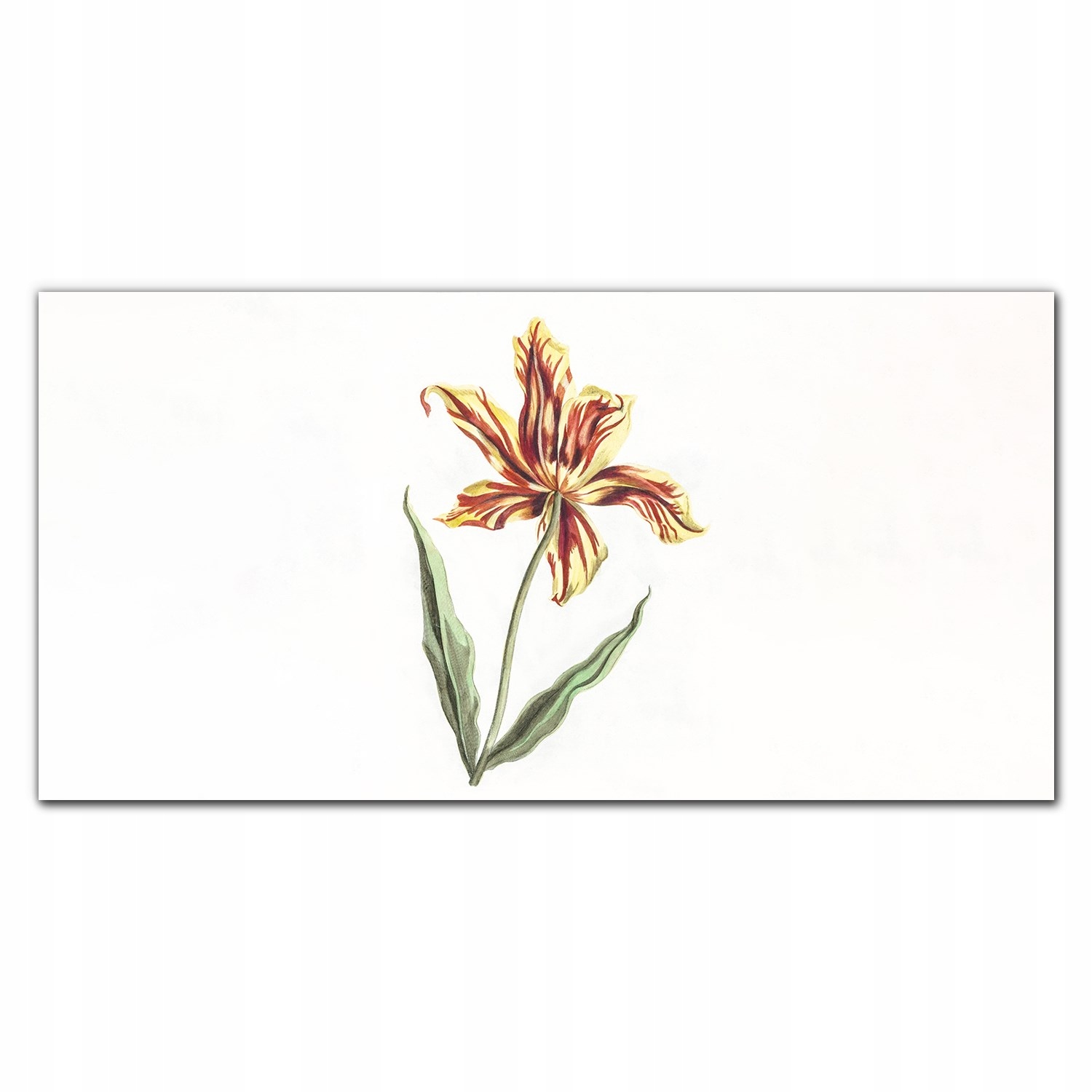 Obraz na plátne na stenu Kvety rastliny 140x70 cm